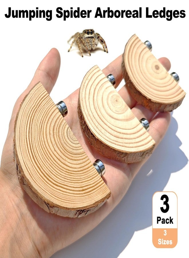 Anranmm 3 Pack Jumping Spider Enclosure Climbing Platforms, Magnetic Jumping Spider Wooden Ledge Ladder, Jumping Spider Accessories, Habitat Decor for Small Light Critters - Image 2